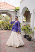 New Designer Style Look Lehenga Choli